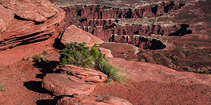 Canyonlands & more